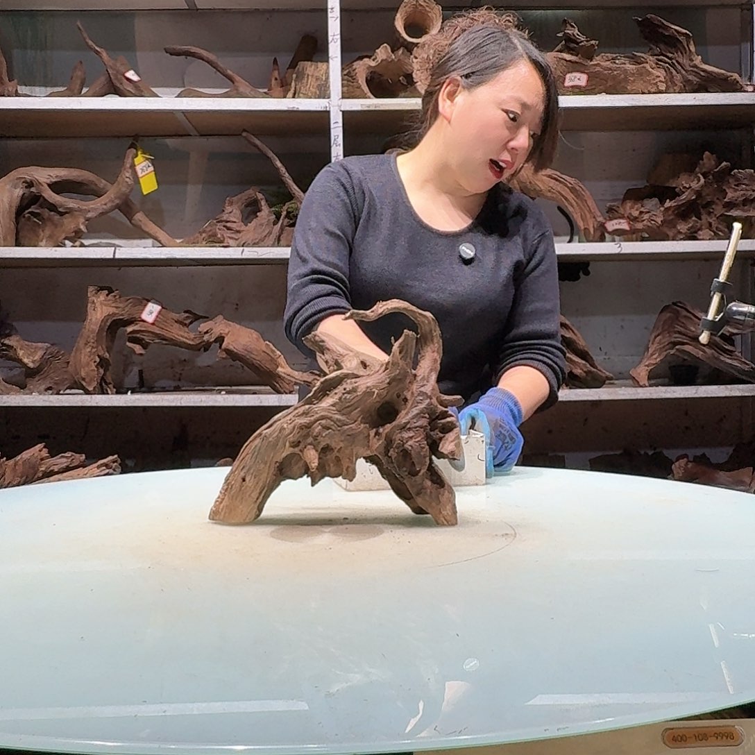 紫砂紫柚镂空不包损3904……