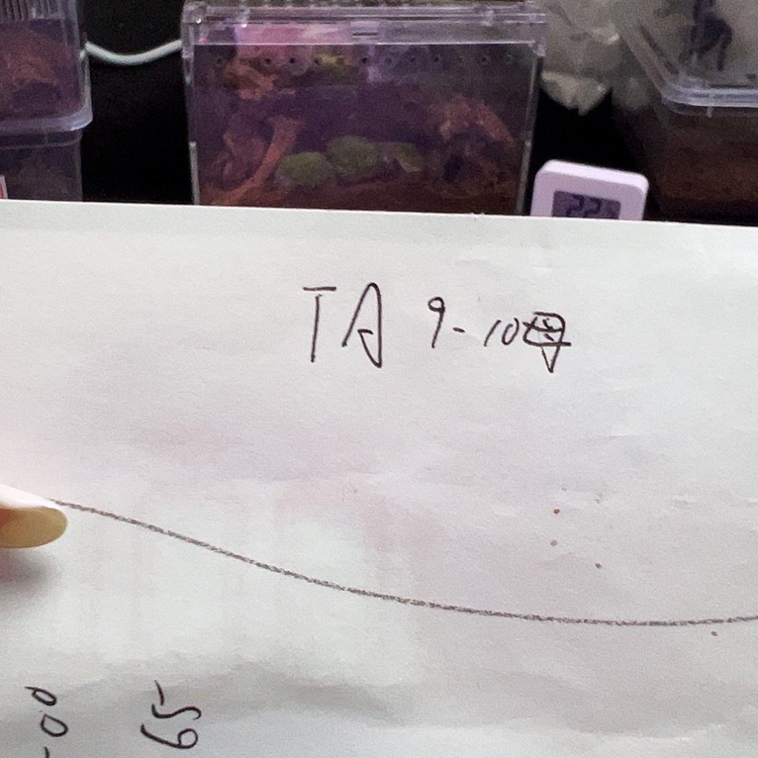 无品牌价值的产品