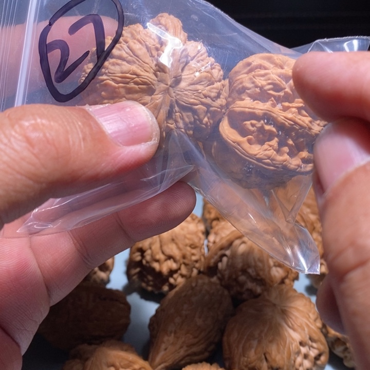 文玩核桃把件27的的一