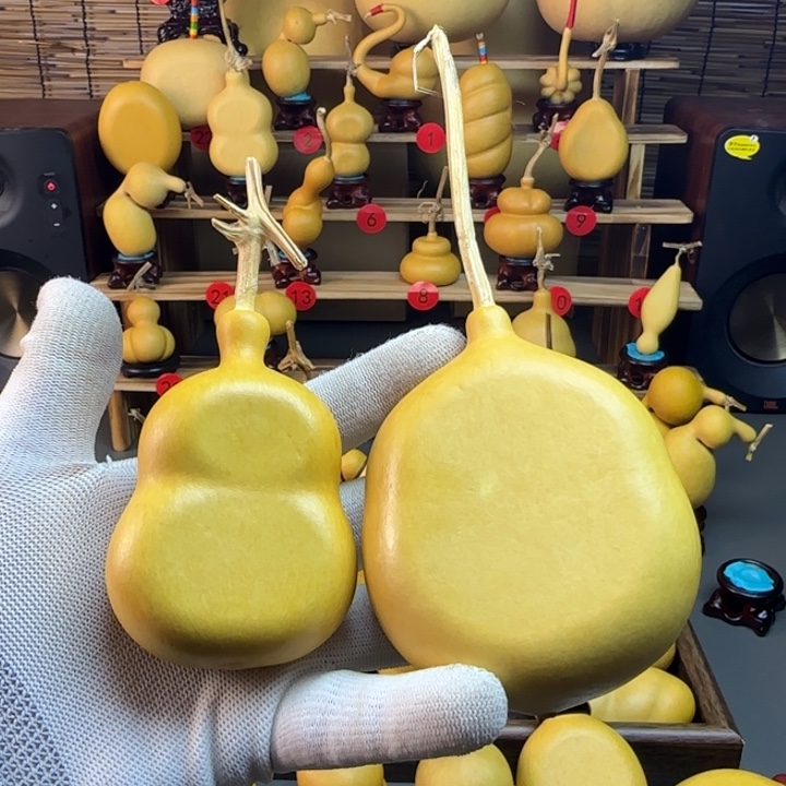 百***味葫芦哈哈哈哈哈哈