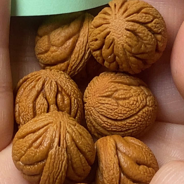 桃核吊坠秦岭山野生桃核