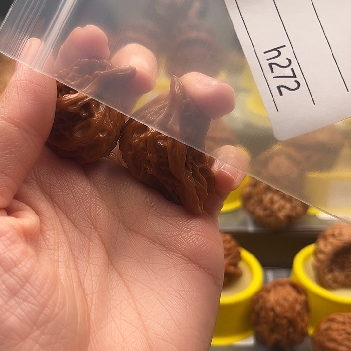 新***管文玩核桃吊坠小鸟