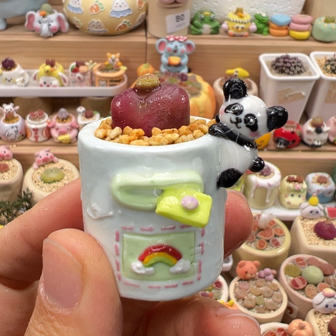 快***米多肉植物119号拇指盆