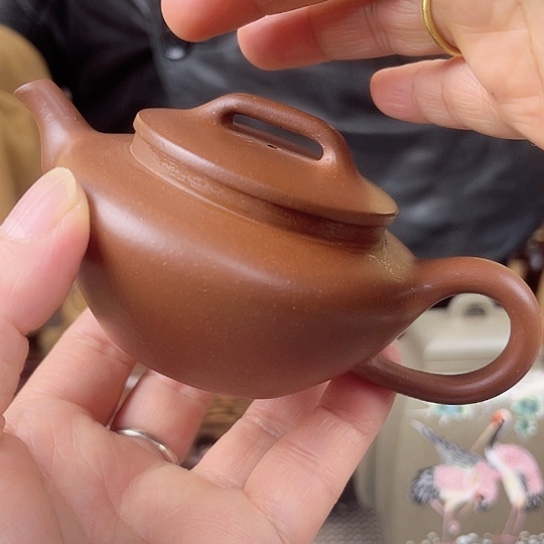 紫砂茶壶今天不知道