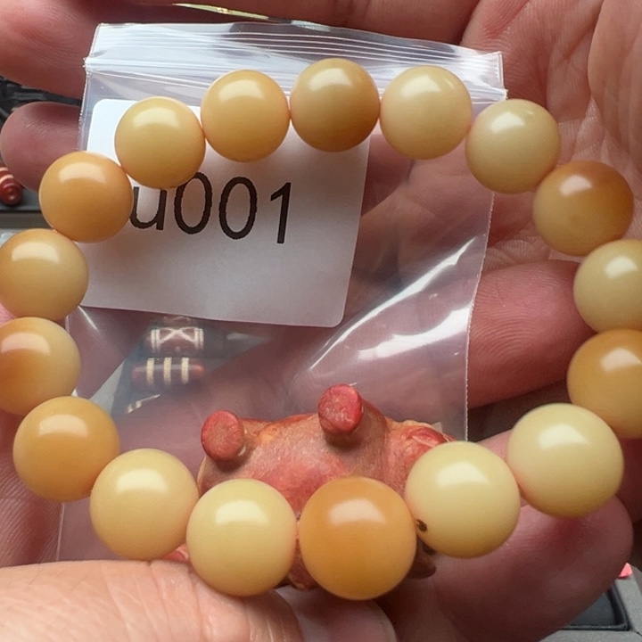 手串菩提根/象牙果