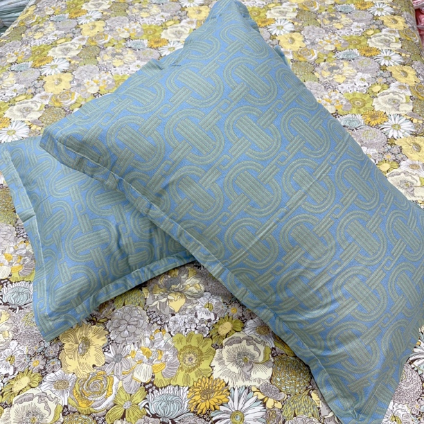 枕套一对装斜纹棉磨毛印花枕套成人简约