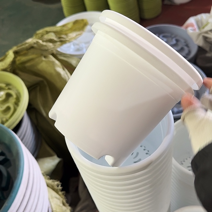 四季2#口径17白色6个无托