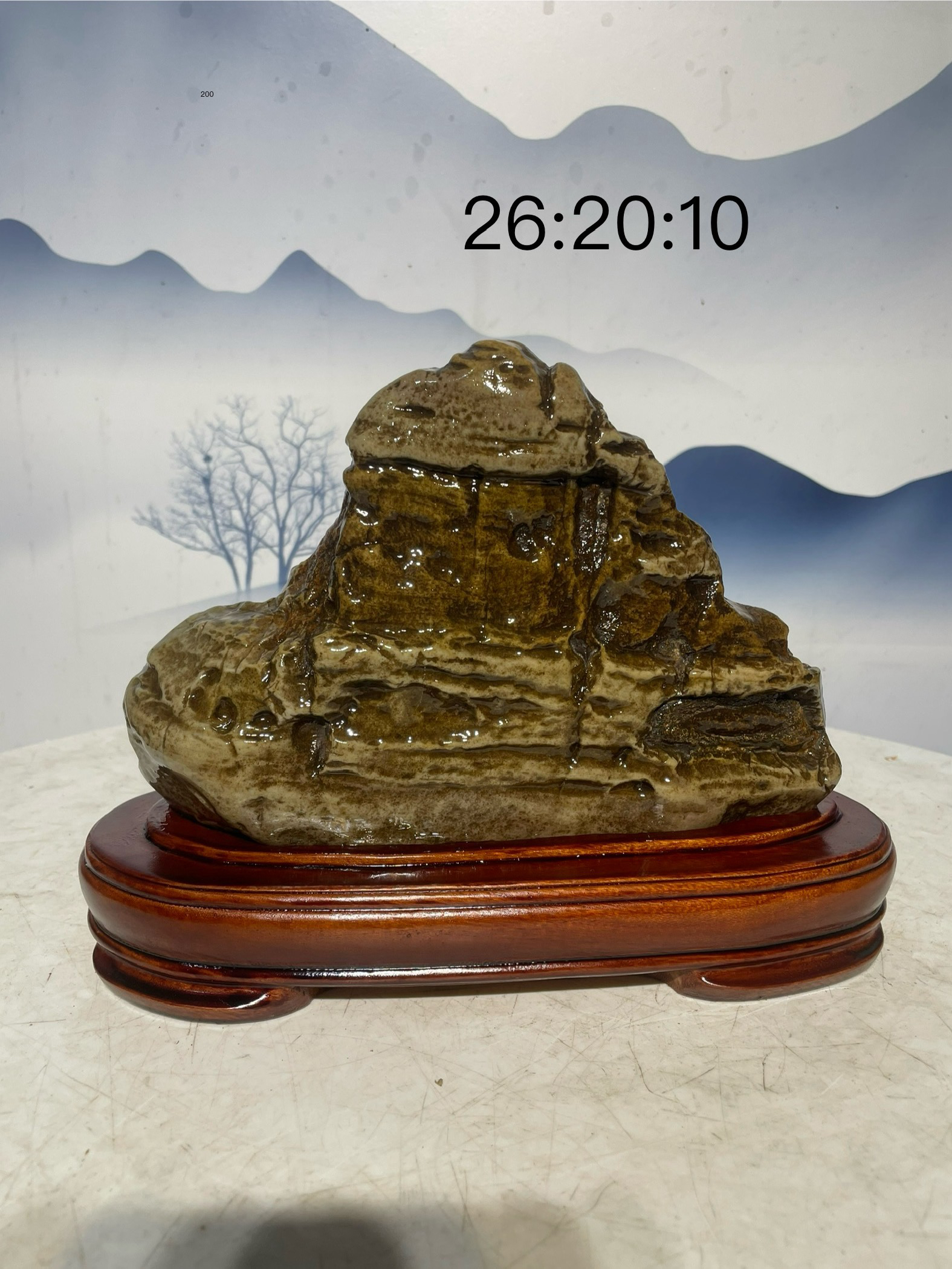 九龙壁奇石天然原石家居摆件靠山观赏石园林石珍藏品尺寸26-20-10