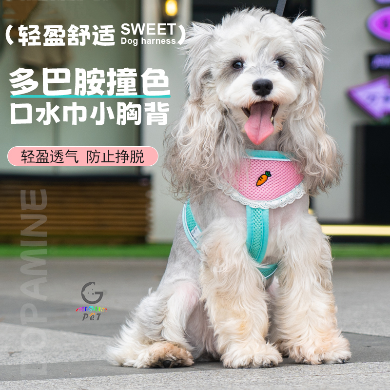 狗狗牵引绳雪纳瑞比熊中小型犬外出可爱口水巾式透气可调节胸背带