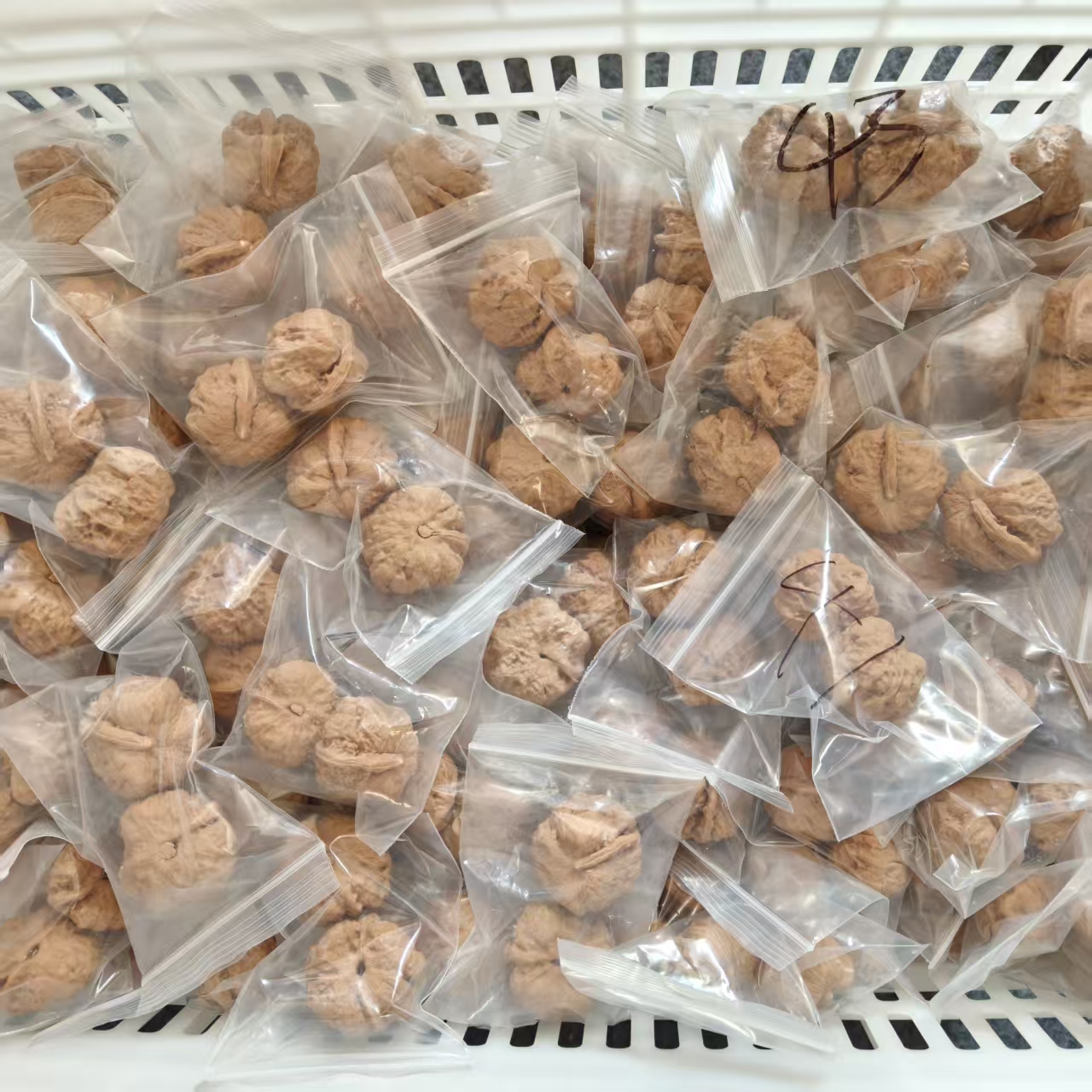文玩核桃一对品种尺寸随机
