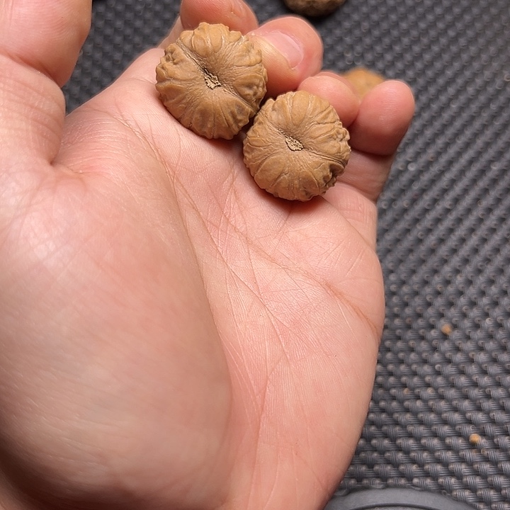 文玩核桃吊坠南瓜