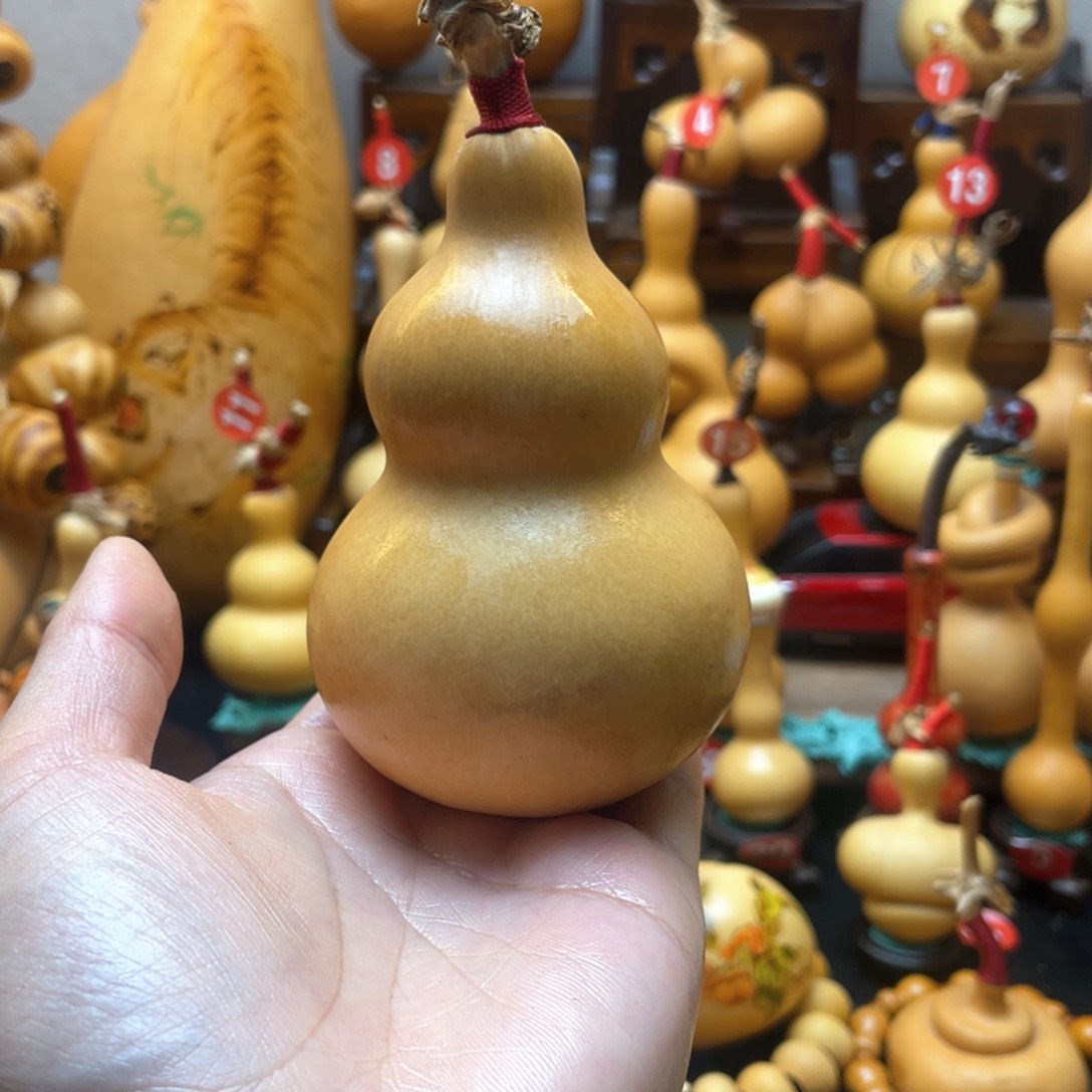 龙**龙大自然的秘密是什么啊哈哈我