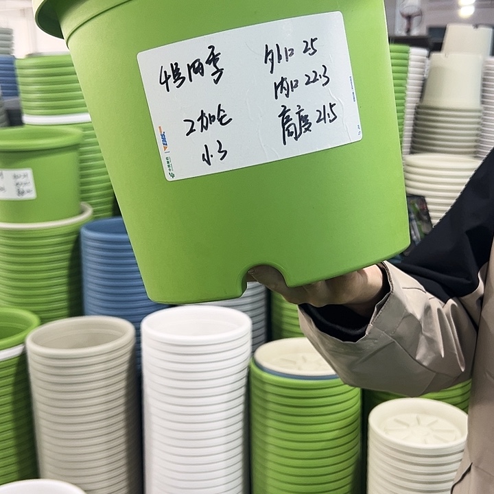 特价4号四季口25高21.5果绿色8个无托