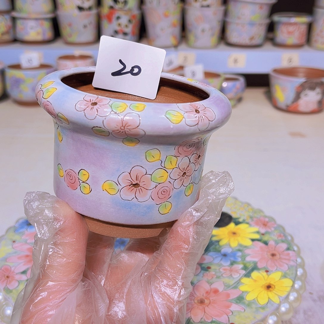 多肉植物手绘花盆粗陶景德镇花盆20