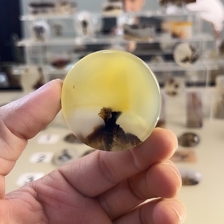 玛瑙/玉髓吊坠(不含链)未镶嵌