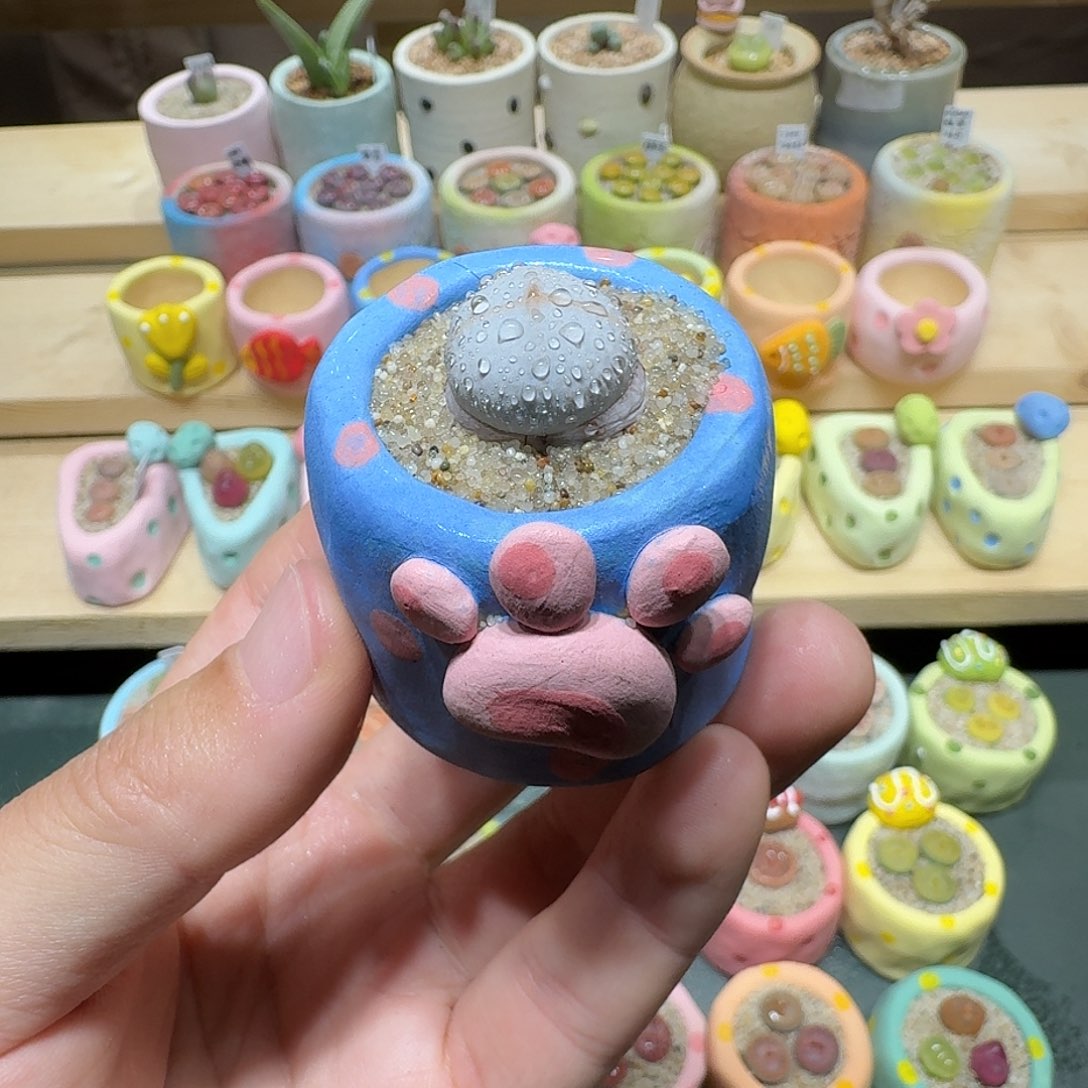 红陶蘑菇213高尔夫