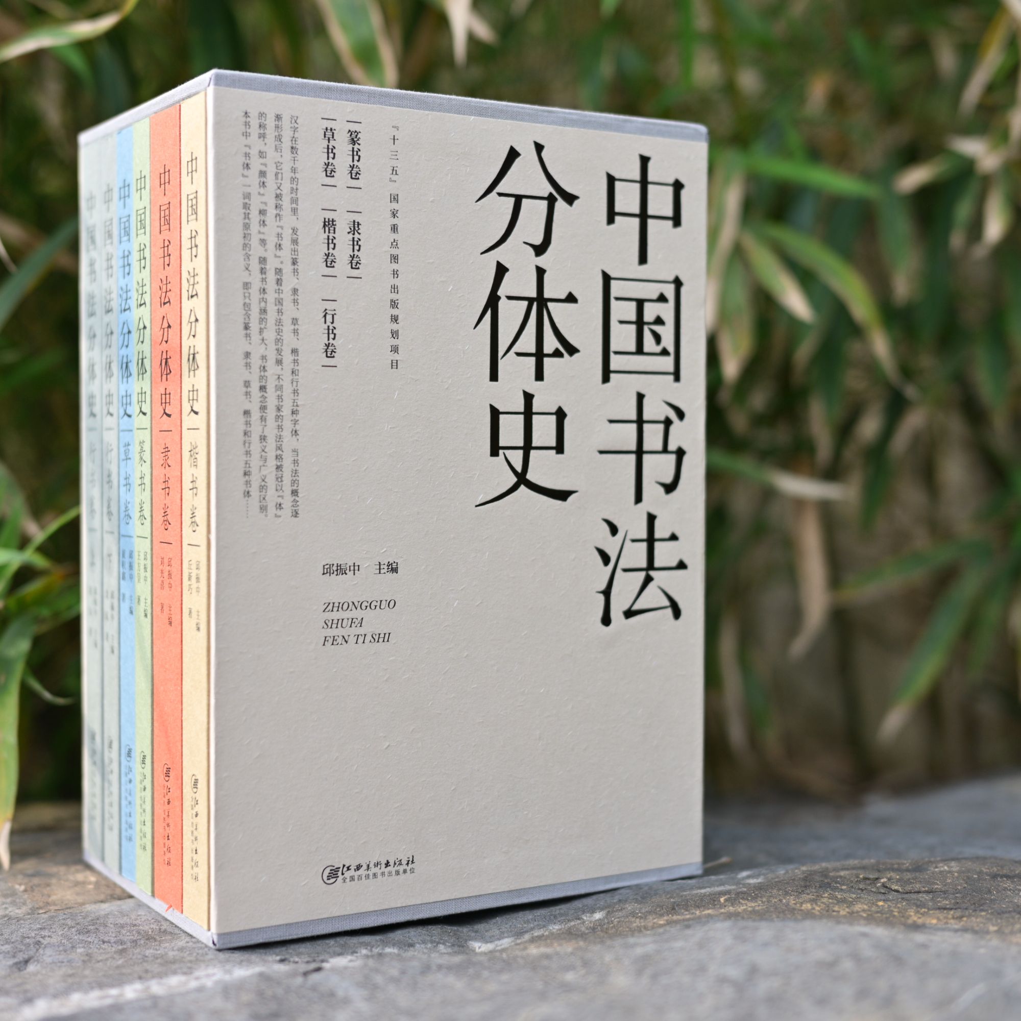 中国书法分体史5册函套版 楷书行书隶书篆书草书书法五体源流变迁