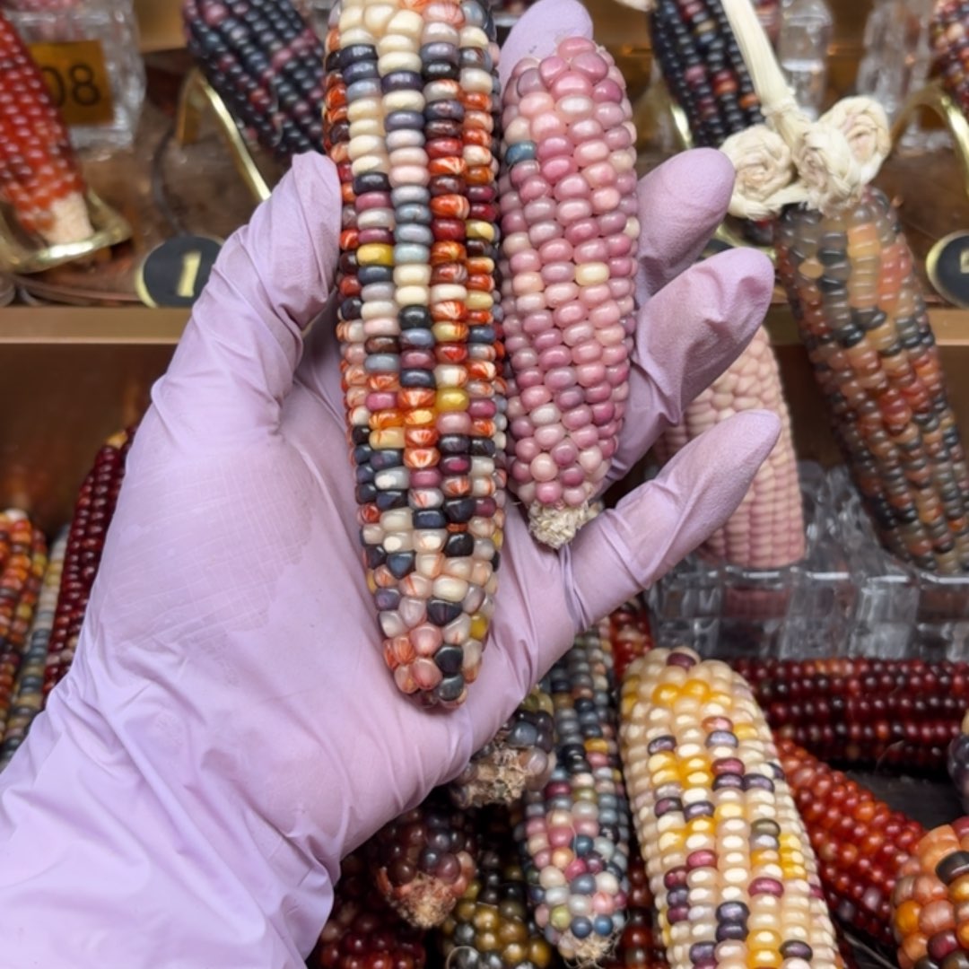 柏香籽/百香籽吊坠微****