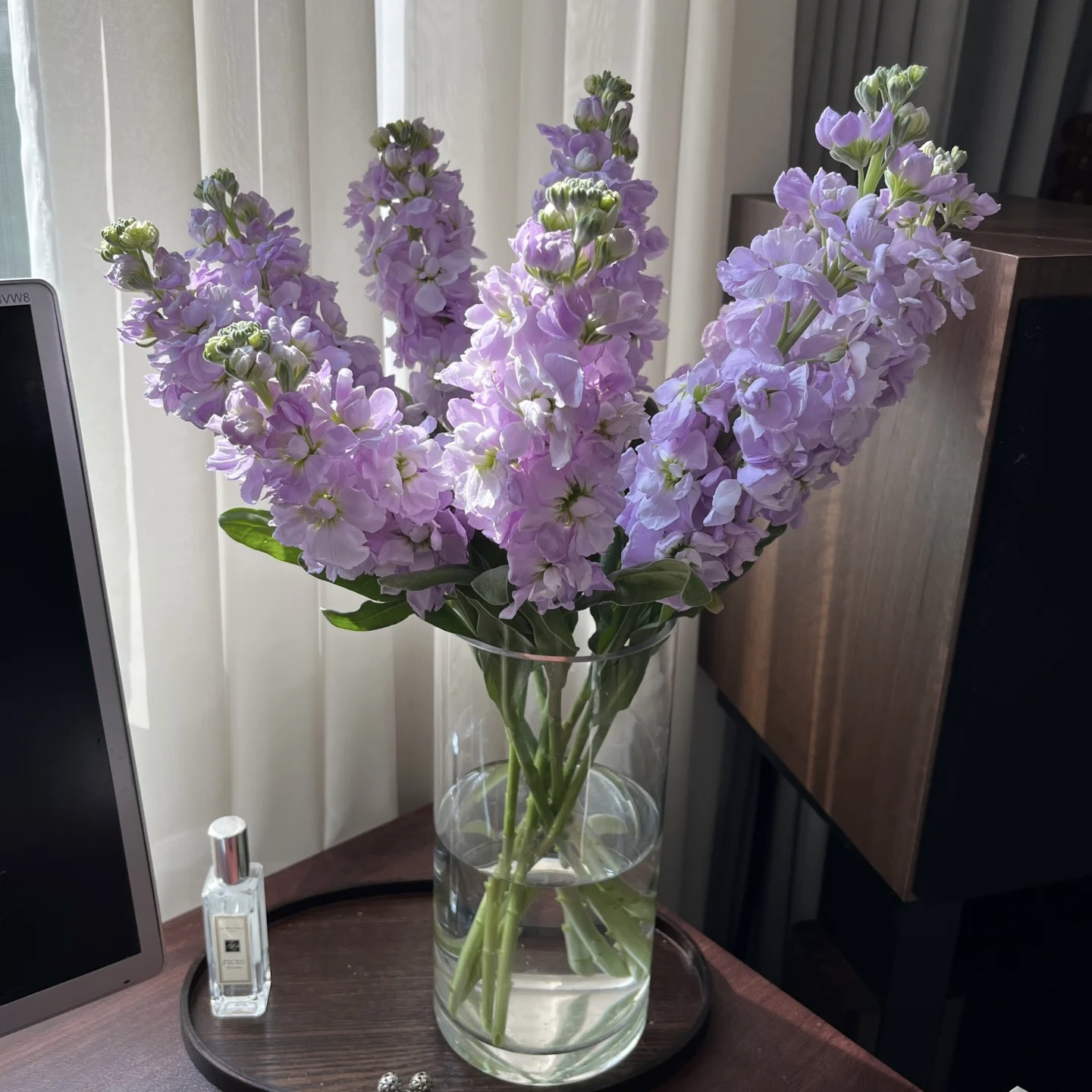紫罗兰各色8枝加2枝防损坏家庭家居插花日照市东港区小时达同城配送上门