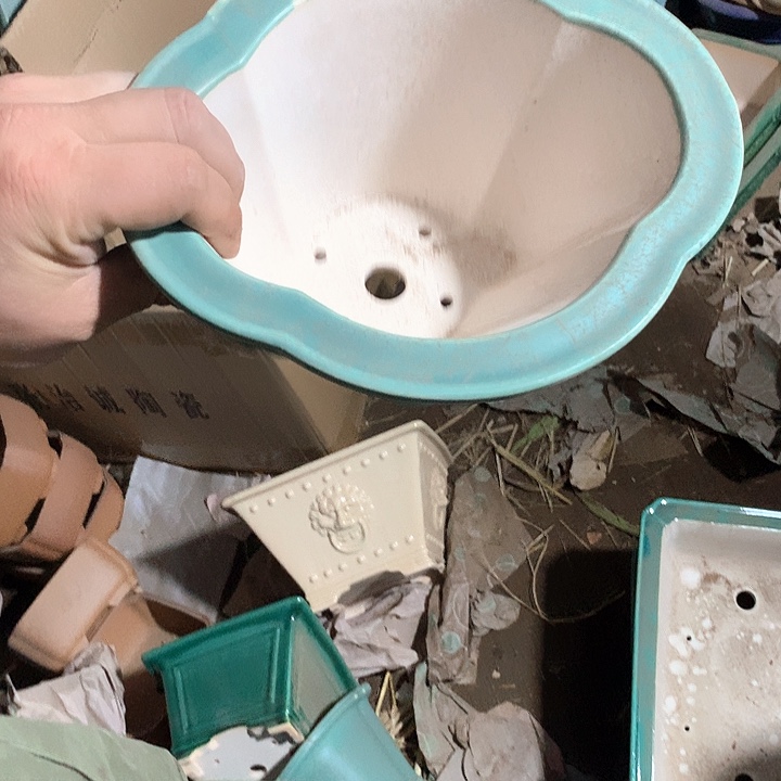 紫砂我要不要好好照顾自己呀