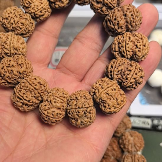 ༺***༻金刚菩提手串六瓣大金刚手串，24左右尺寸，原皮原色