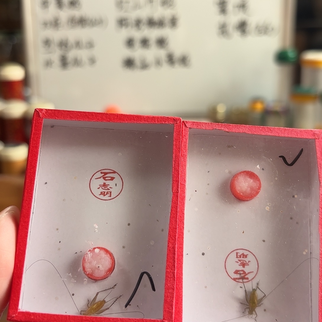 两条石特级大黄 不包断须尾