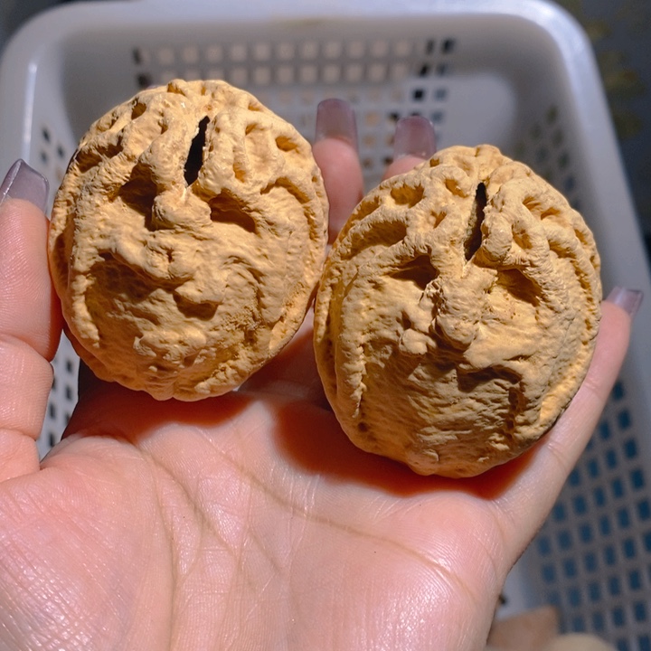 野生鬼脸乾坤核桃4855