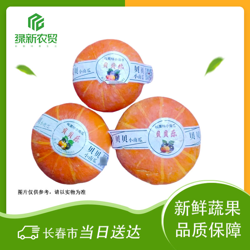 Y 金贝贝南瓜 约300g/个贝贝南瓜