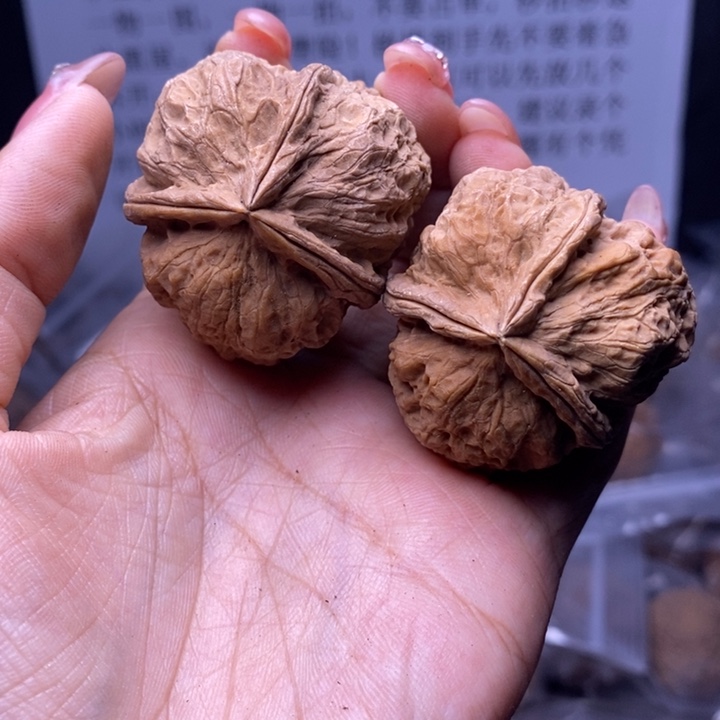 核桃云南野生铁核桃110号42mm