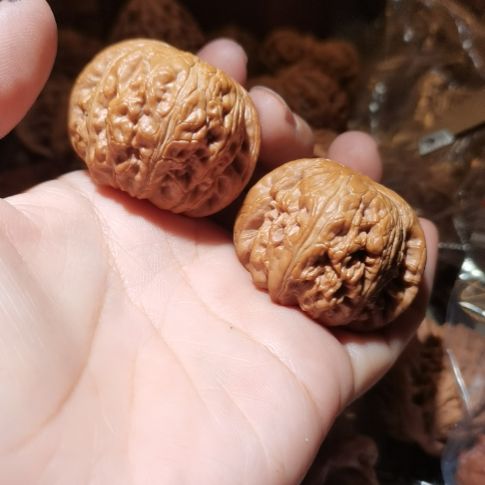 猴头核桃吊坠41元宝