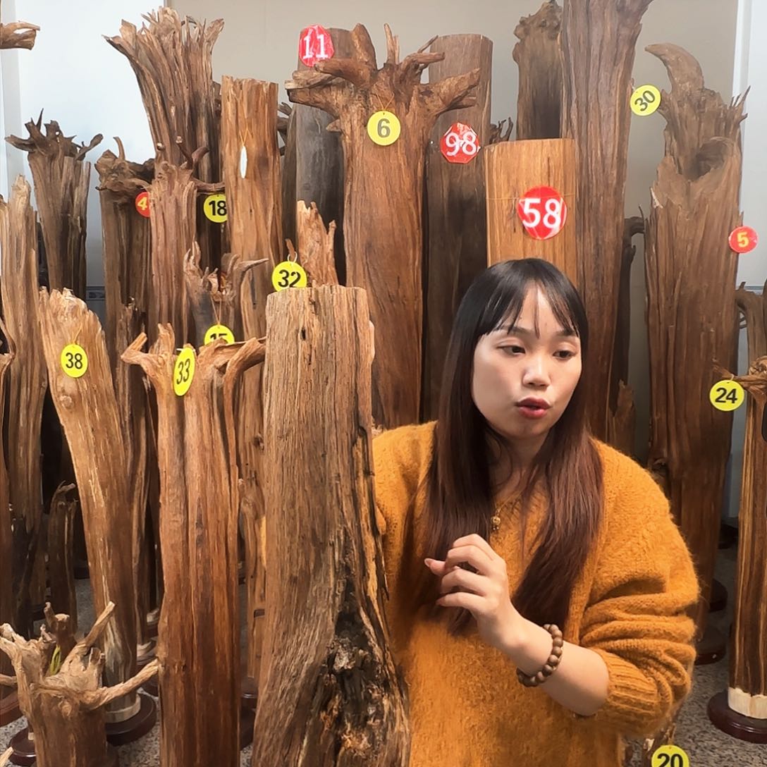 沉香沉香碎屑天然沉香原材料香料熏料