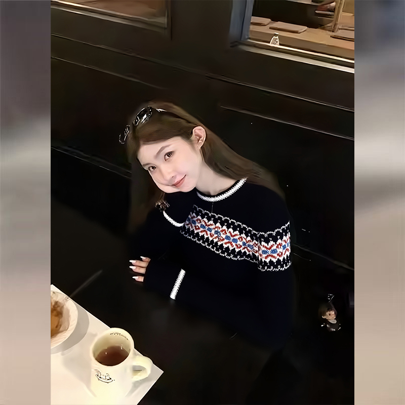 费尔岛提花长袖毛衣女秋冬新款设计感独特别致绝美内搭针织衫上衣