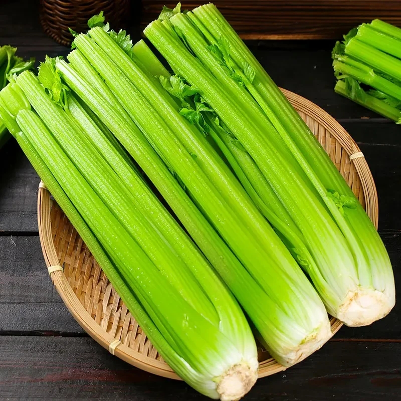 山东寿光有机种植新鲜采摘水果西芹脆嫩多汁可榨汁生吃当季芹菜