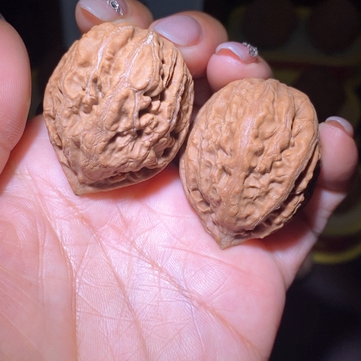 文玩核桃把件东北野生楸子小美07