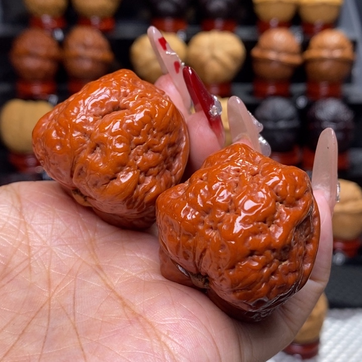 文玩核桃把件李***桐平头蝉15号