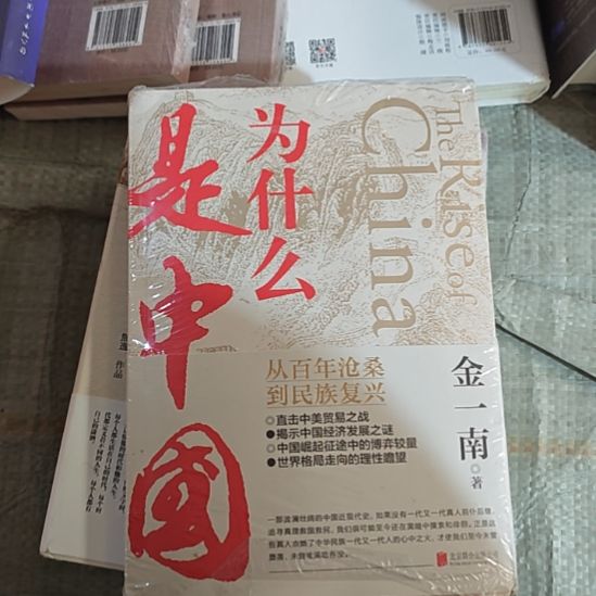为什么是中国？金一南老师写的一本？