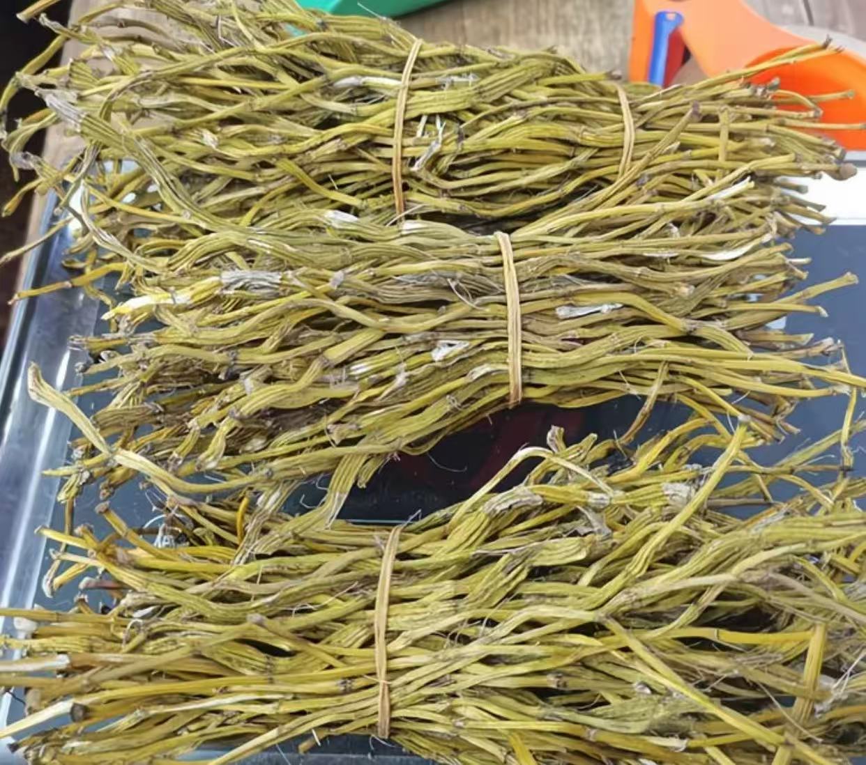 龙腾专属-黄金石斛