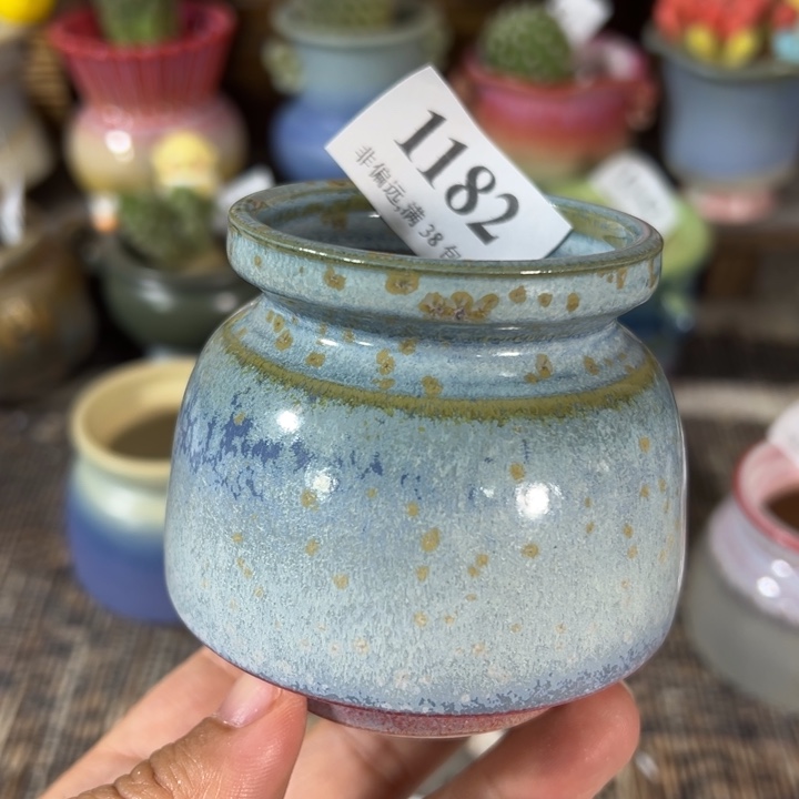 口5高6 未满30运费到付