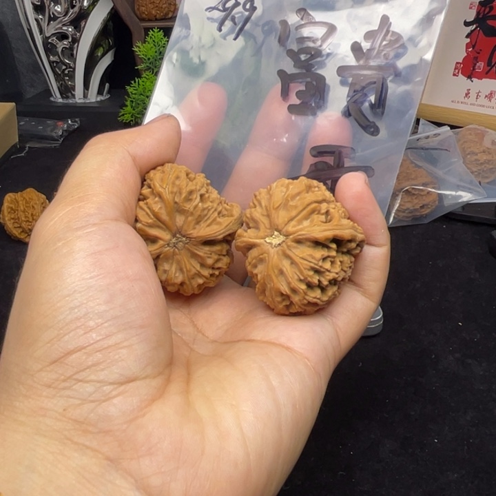 文玩核桃把件富*哥水龙