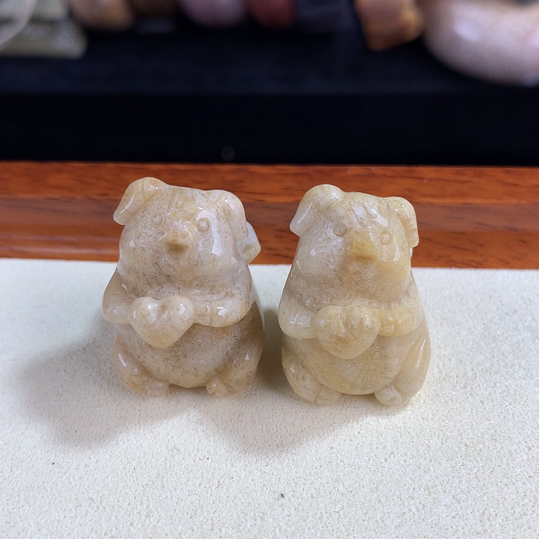 吊坠(赠链)未镶嵌硅化珊瑚（珊瑚玉）6号50漏25开播福利