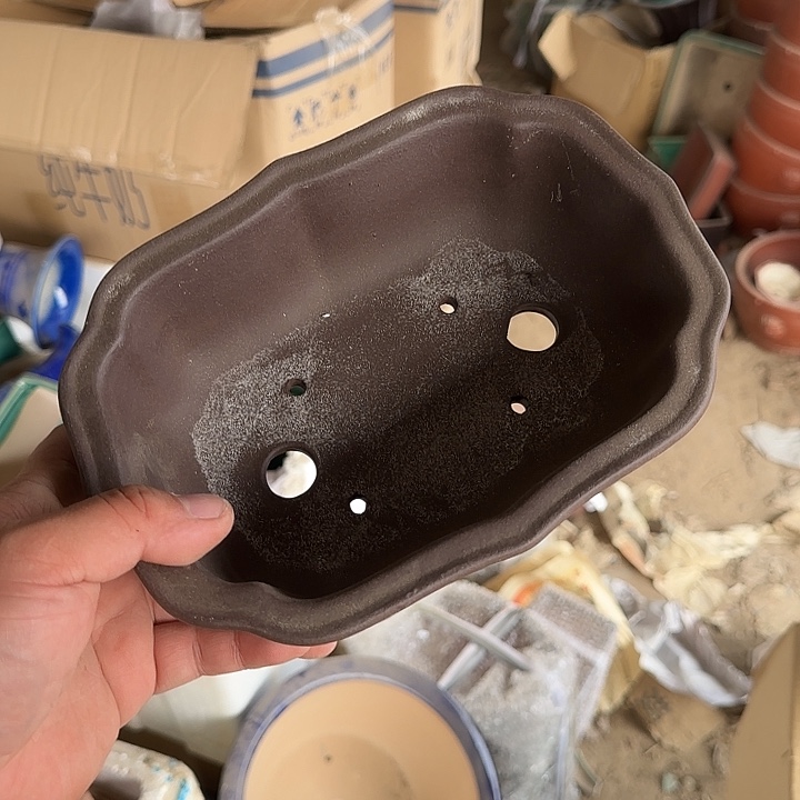 这一期太有意思咯好棒好可爱呀太