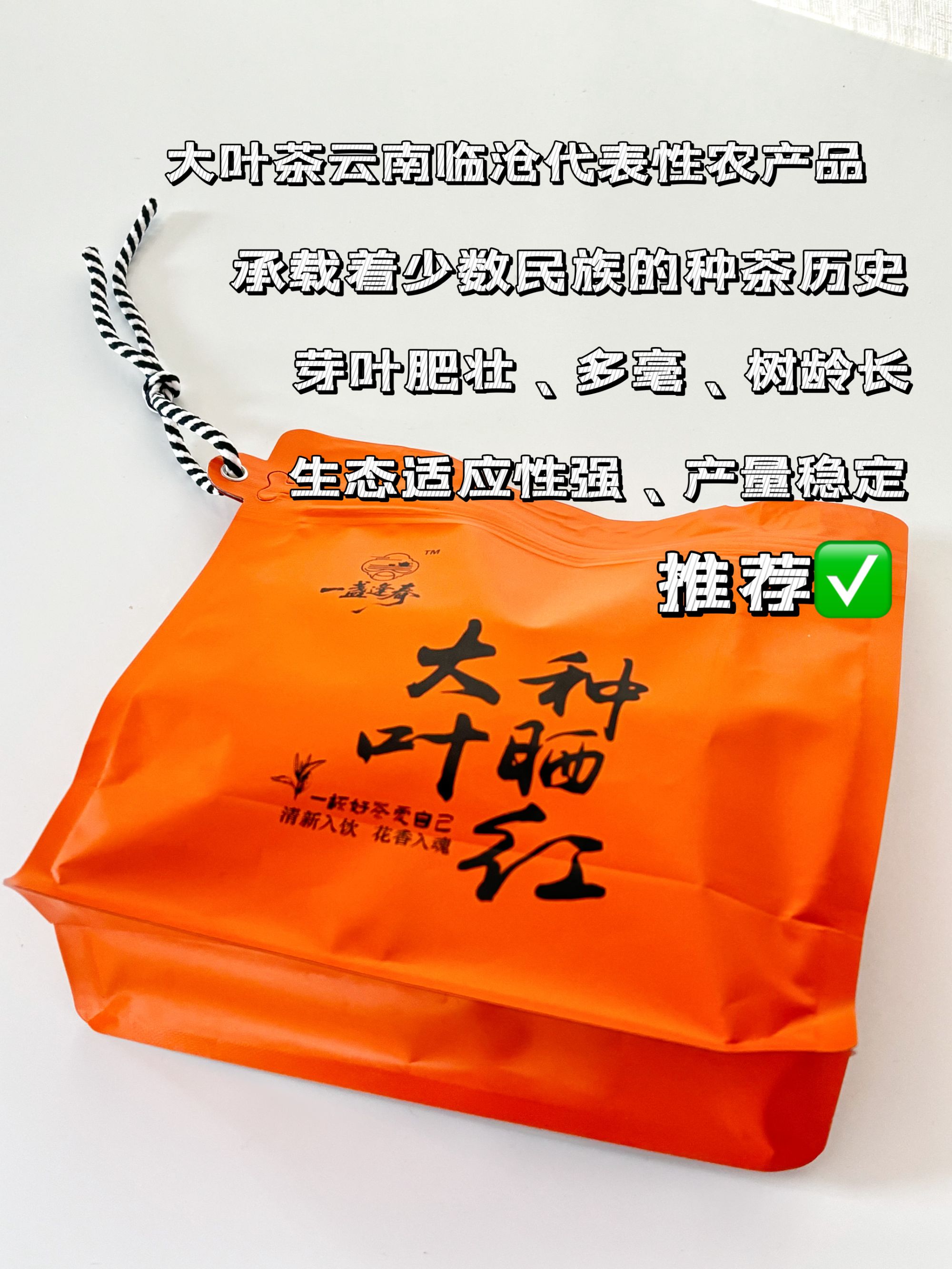 一盏逢春 大叶种红茶