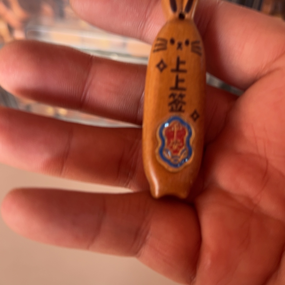 只买单纯的吊坠，没带链子，属的性质。