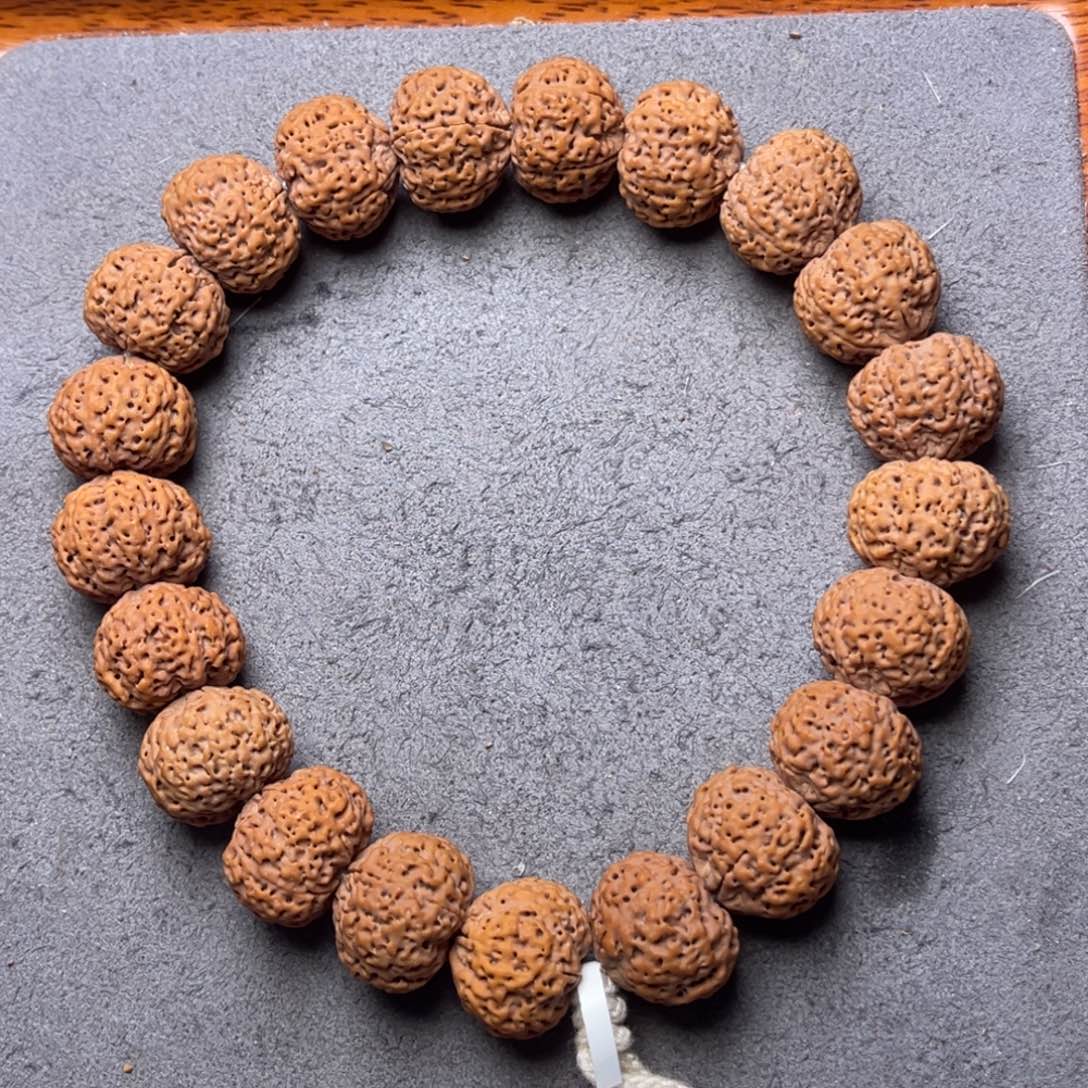 菩提5号金刚菩提五星蜂王菠萝蜜手持19