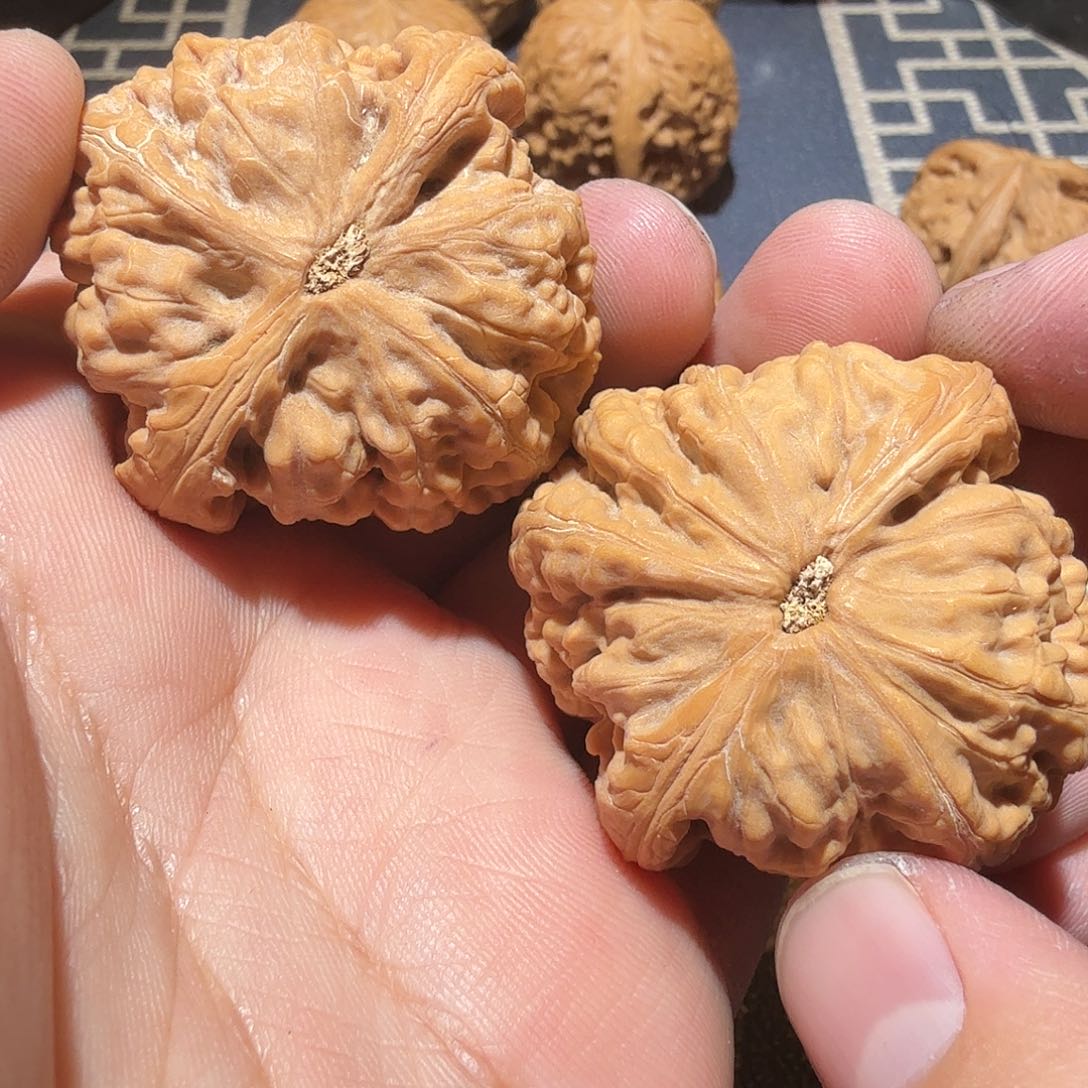文玩核桃把件红锦鲤