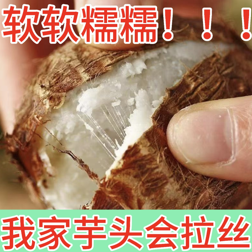 贵州高山芋头老品种农家自种牛奶小芋头现挖现发新鲜整箱软糯芋艿