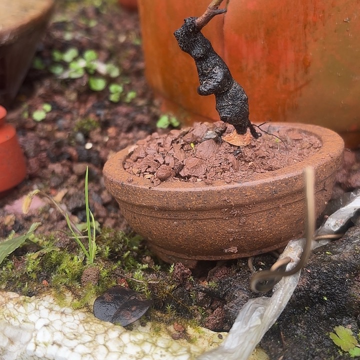 金字奖颁奖仪式今天晚上的直播