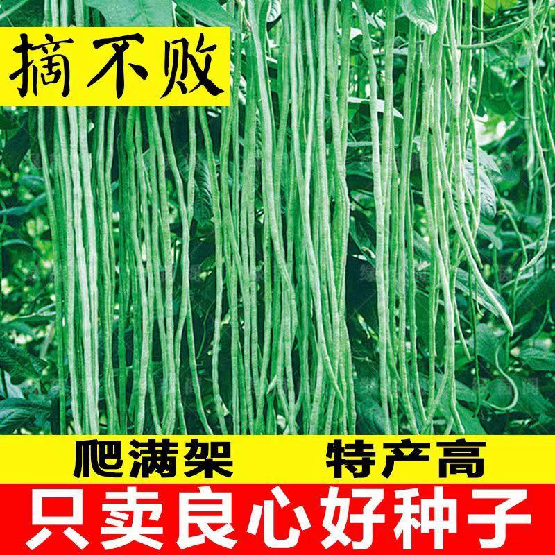 【全场满5包包邮】28-2摘不败长豆角大全架豆角绿条四季豆种籽