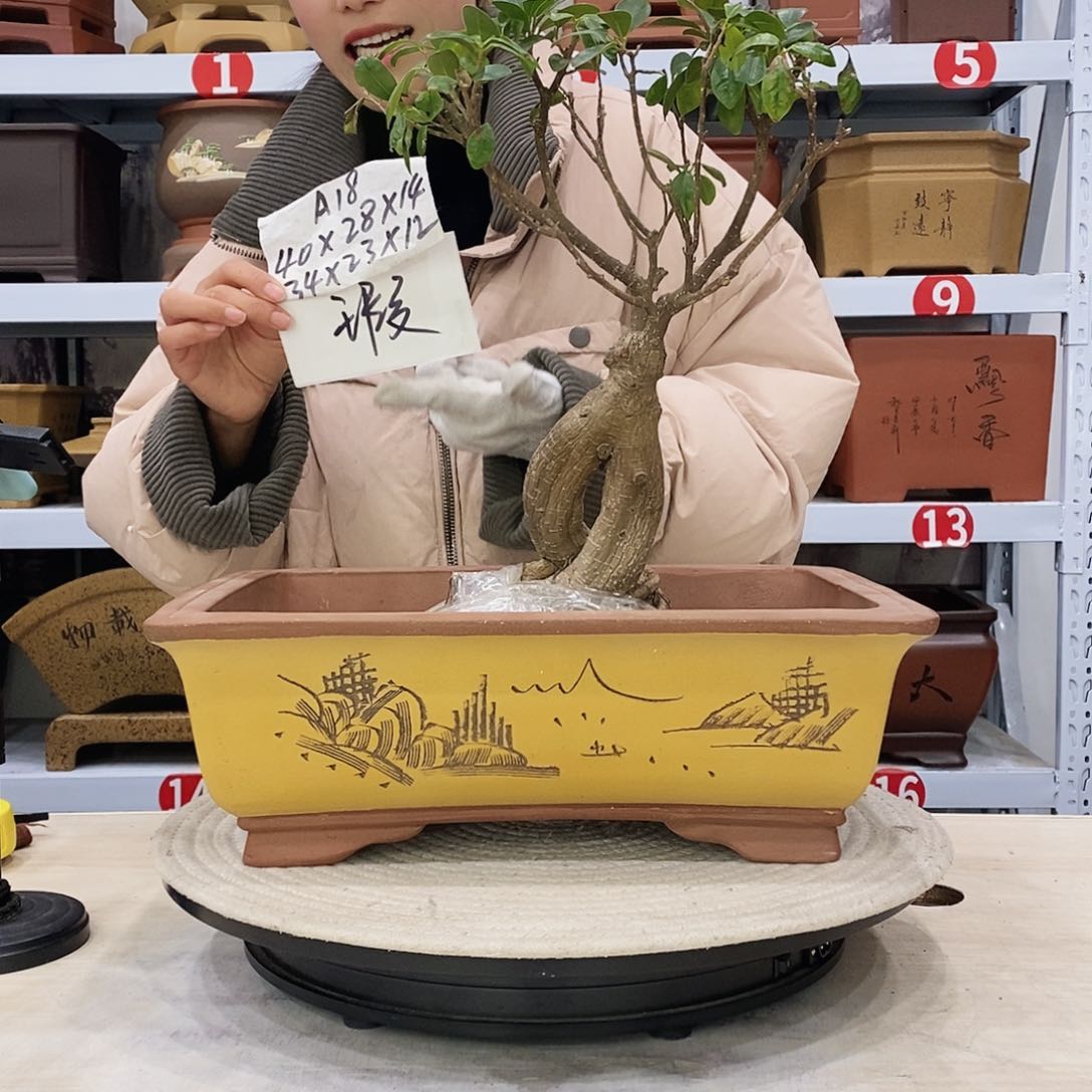 紫砂花盆紫砂花盆