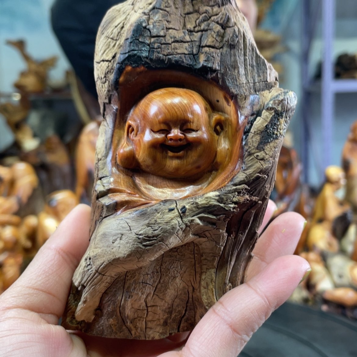 【闪购商品】柏木（崖柏）其他